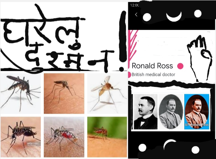 घरेलू प्यारा दुश्मन
